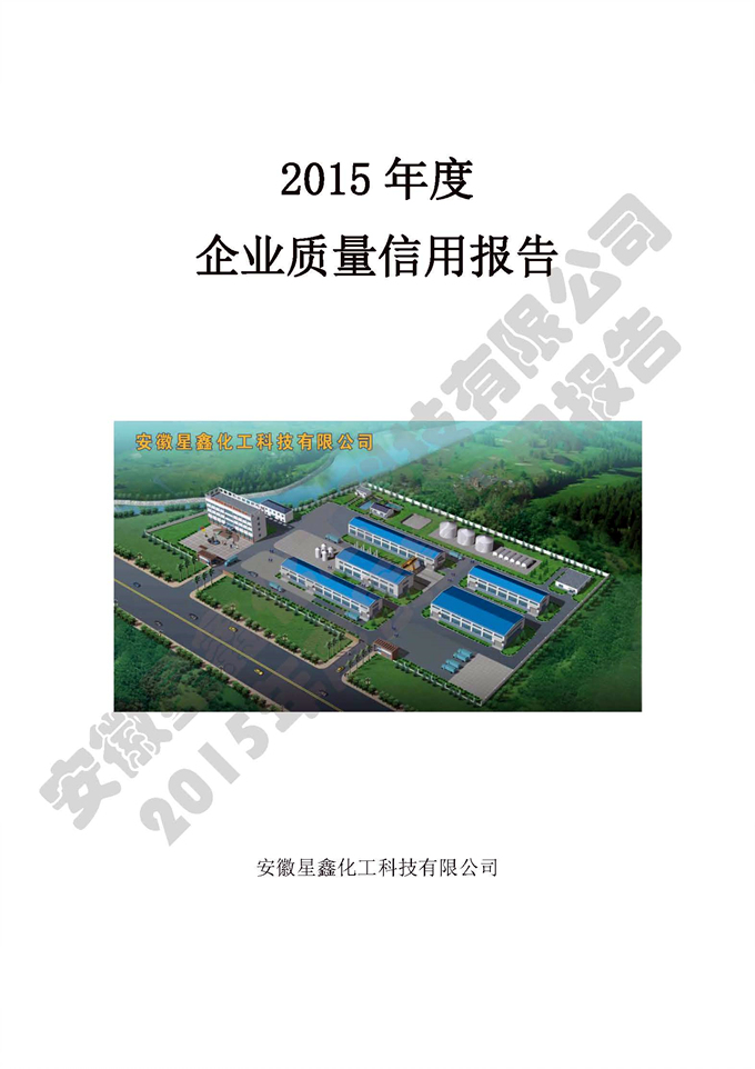 安徽星鑫化工科技有限公司-2015年度質(zhì)量信用報(bào)告
