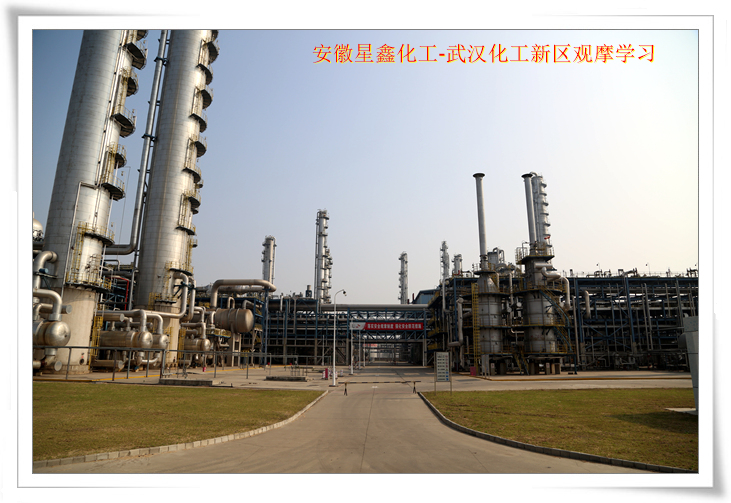 安徽星鑫化工科技有限公司-武漢化工新區(qū)80萬噸/年乙烯項(xiàng)目參觀學(xué)習(xí)