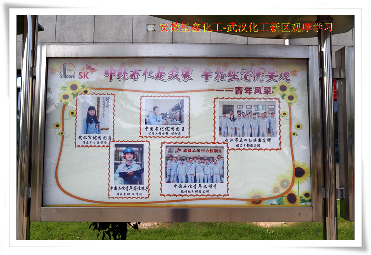 安徽星鑫化工科技有限公司-武漢化工新區(qū)80萬噸/年乙烯項(xiàng)目參觀學(xué)習(xí)