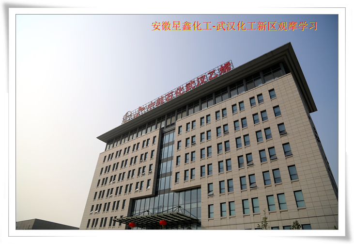 安徽星鑫化工科技有限公司-武漢化工新區(qū)80萬噸/年乙烯項(xiàng)目參觀學(xué)習(xí)