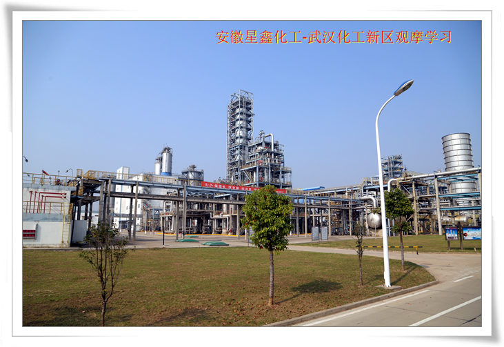 安徽星鑫化工科技有限公司-武漢化工新區(qū)80萬噸/年乙烯項(xiàng)目參觀學(xué)習(xí)
