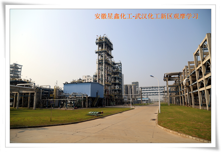 安徽星鑫化工科技有限公司-武漢化工新區(qū)80萬噸/年乙烯項(xiàng)目參觀學(xué)習(xí)